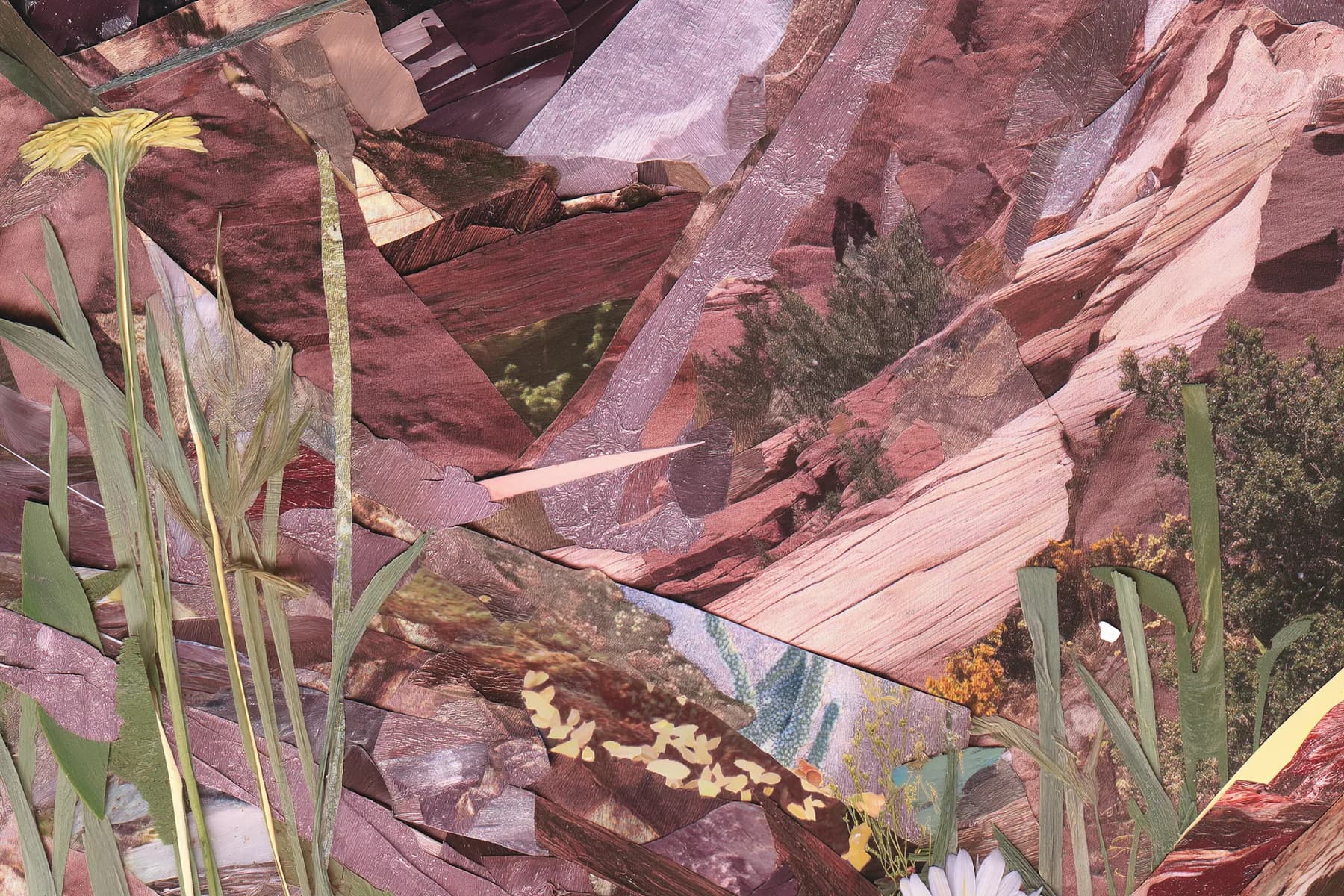 Nature Collage Artwork