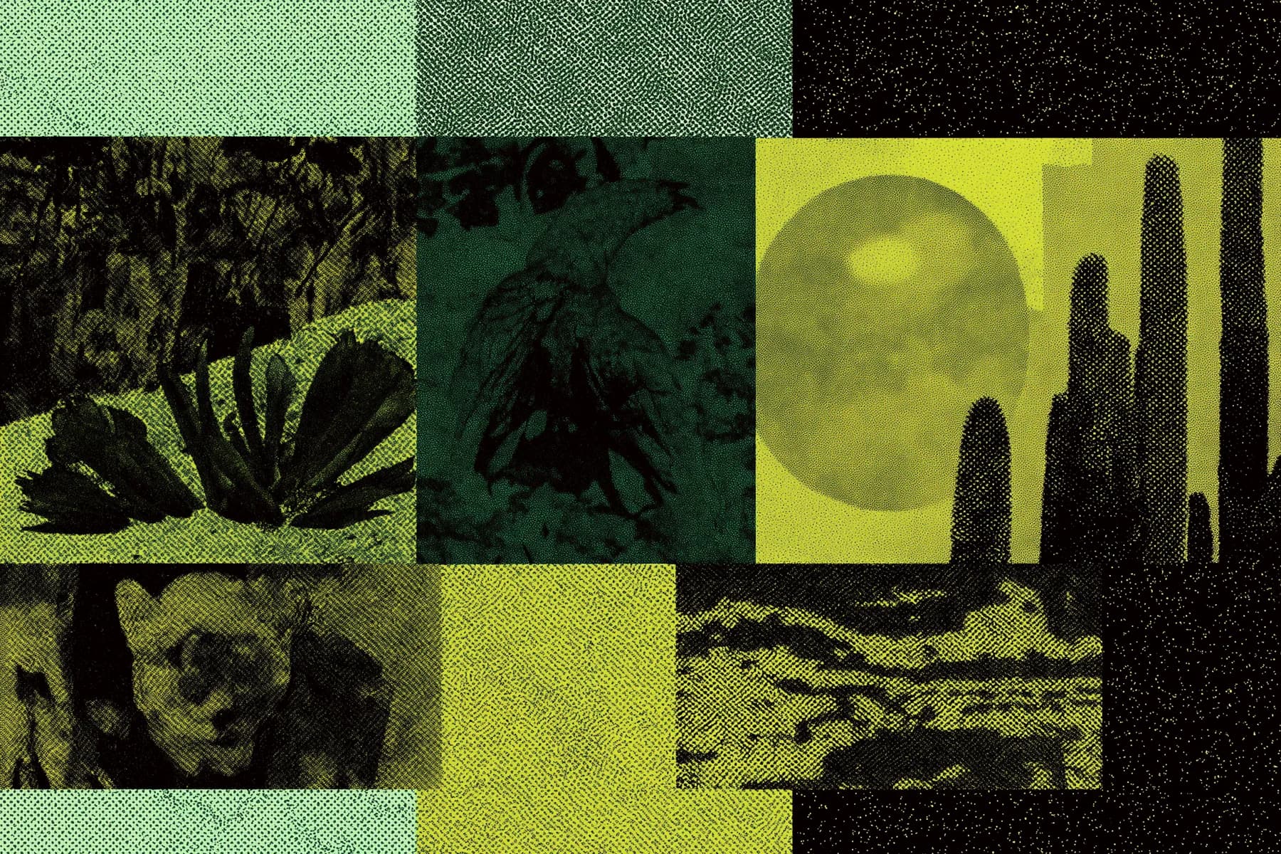 Retro Nature Collage