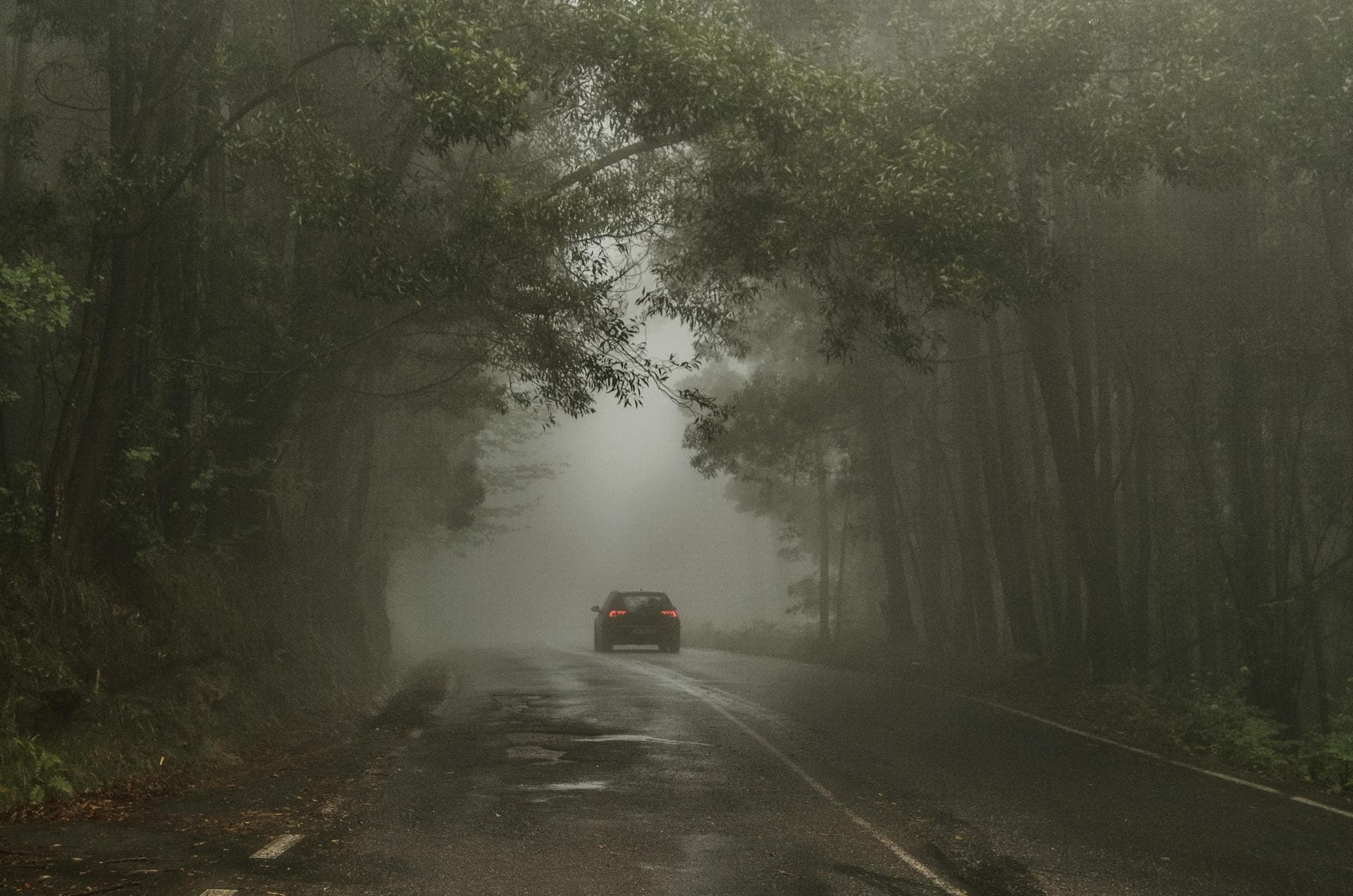 What Is Brain Fog (And How Can You Actually Fix It)?